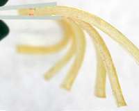 Polymer synthesis gets a jolt of caffeine