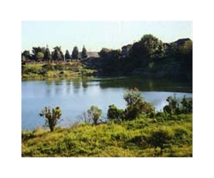 The Great Pond Experiment: Regional Vs. Local Biodiversity