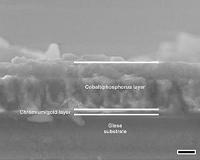 Cobalt film a clean-fuel find