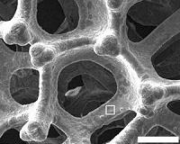 How to make porous materials dry faster