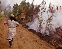 More Than 800 Firefighters Battle Wildfires In Parched Portugal