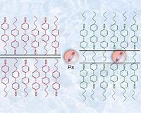 Exploring mass dependence in electron-hole clusters