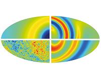 Cosmology Safe as Universe Has No Sense of Direction