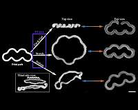Lab makes 4D printing more practical