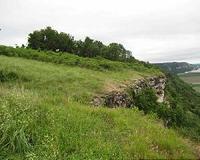 Soil microbes shift as shrubs invade remnant hill prairies