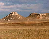 Prairie Soil Organic Matter Shown To Be Resilient Under Intensive Agriculture