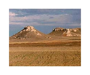 U.S. grasslands losing to biofuel crops