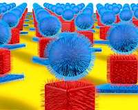 Infinite-dimensional symmetry opens up possibility of a new physics and new particles