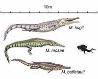 Prehistoric crocodile species discovered in Texas