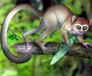 Scientists say fossil from China is oldest primate skeleton yet found