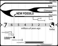 Anti Evolutionism In America Whats Ahead