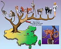 Science Slowly Explaining Evolution Detail