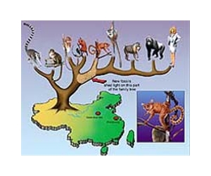 Evolution 'tipping point' identified