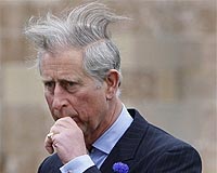 Prince Charles calls for 'wartime' effort against deforestation