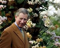 'What use is wealth if it burns?' Britain's Prince Charles sounds climate alarm