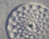 Snow has thinned on Arctic sea ice
