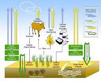 Organic farming techniques can make agriculture a carbon sink