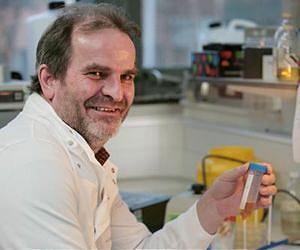 Harmless soil-dwelling bacteria successfully kill cancer