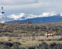 Wyoming site could store 300 years worth of carbon emissions