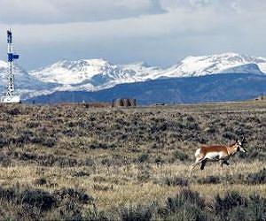 Key to cleaner environment may be right beneath our feet