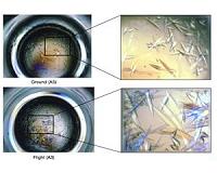Partners in Science: Private Companies Conduct Valuable Research on the Space Station