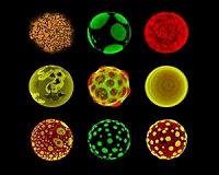 Scientists create possible precursor to life