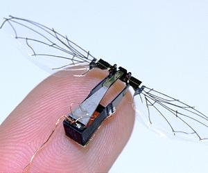 Tiny MAVs May Someday Explore And Detect Environmental Hazards
