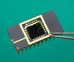 An ultrasensitive molybdenum-based image sensor
