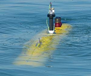 Distributed Agile Submarine Hunting Program Completes Milestones
