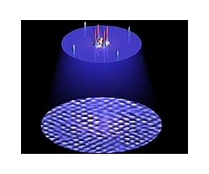 Quantum Fluctuations Are Key In Superconductors