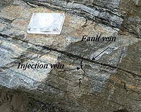 Fossil Earthquakes Abundant