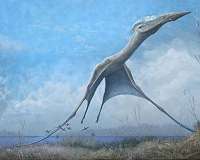 Studying pterosaurs and other fossil flyers to better engineer manmade flight