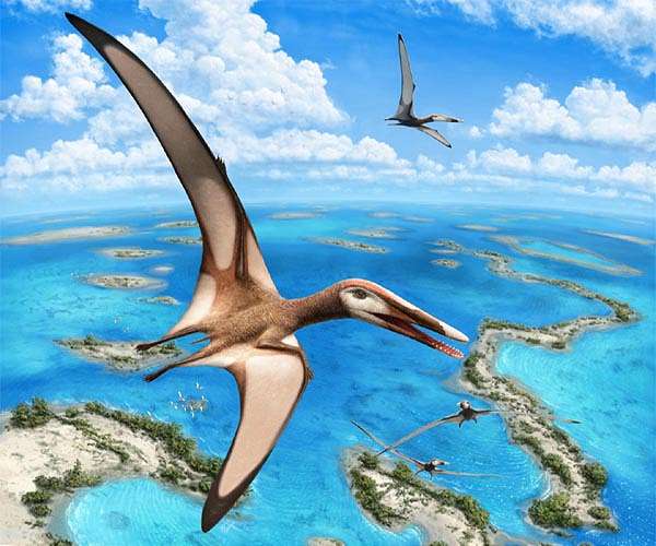 Evidence that ancient Tethys Ocean influenced Earth's past environments