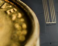 Bioelectronics at the speed of life
