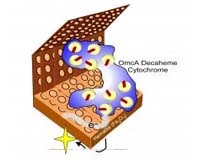 Biofuel Cells Without The Bio Cells