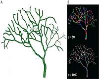 Parallel computation provides deeper insight into brain function
