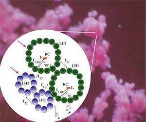Purple bacteria on Earth could survive alien light