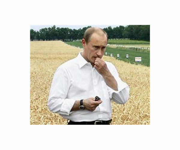 Between searing drought and Ukraine war, Iraq watchful over wheat