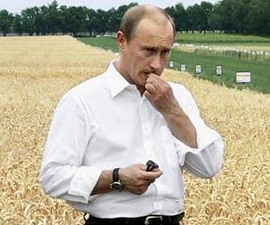 Russia to retain grain export ban until 2011 harvest: Putin