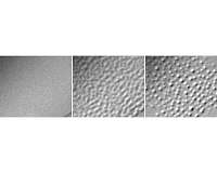 Answering a longstanding question: Why is the surface of ice wet?