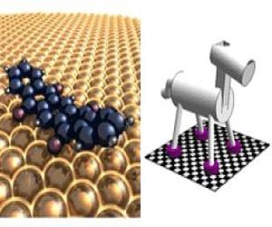 Does A Molecular Machine Trot Pace Or Glide Across A Surface