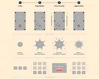 Physicists reverse time using quantum computer