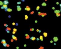 Unleashing the power of quantum dot triplets