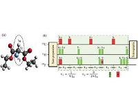Chinese scientists realize quantum simulation of the Unruh effect