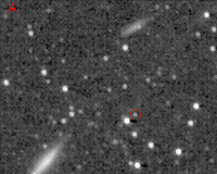 New Horizons Spies a Kuiper Belt Companion