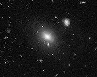 Hubble Spies Shells of Sparkling Stars Around Quasar