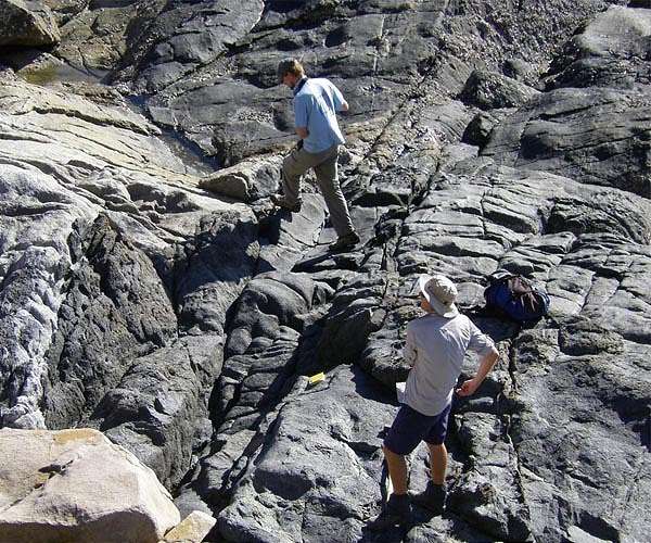 Australian researchers find 100 million-year-old fossil in Queensland
