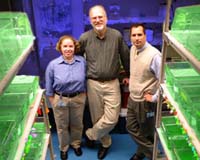 Study Explores Safety of Low-Dose Radiation