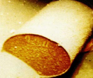 Addressing The Nuclear Waste Issue
