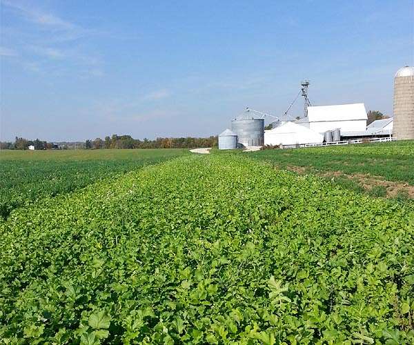 UK Space Agency Boosts Agri-tech Start-Up at Space Park Leicester